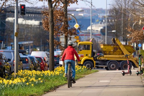 Middle aged woman riding an e-bike on a safe bike path lined with blooming daffodils during spring