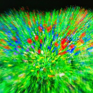 Carpet of flowers, green flower meadow, abstract, immersive exhibition, digital art, famous