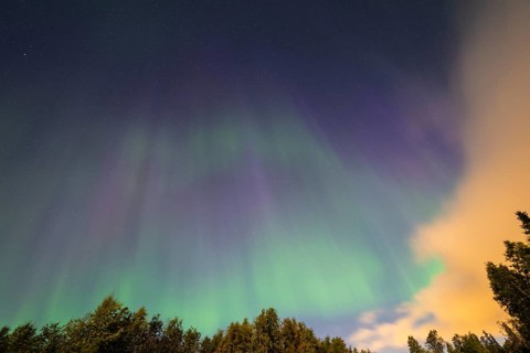 Northern Lights (Aurora borealis), Gällivare, Norrbotten, Lapland, Sweden, August 2026