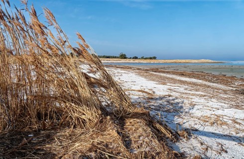 Darßer Ort lighthouse in the Western Pomeranian Lagoon Area National Park. Prerow,