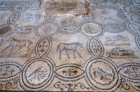 Detailed floor mosaic with geometric patterns and depictions of animals, Basilica di Santa Maria