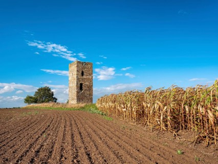 The Blue Tower in a ploughed field in autumn, medieval watchtower in the Magdeburger Börde,