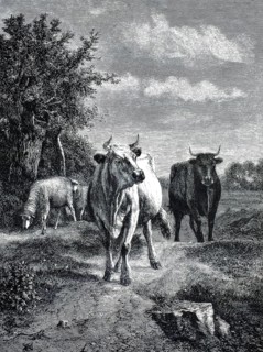 Cows and Sheep in a Pasture by Constant Troyon (1810–1865), French painter, authentic,