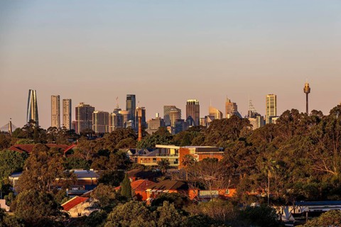 View of the Sydney skyline with greenery in the foreground and mix of modern buildings and