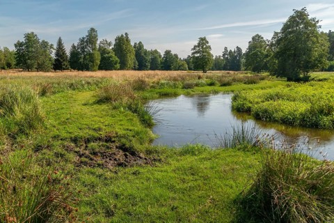 Bavaria, Upper Palatinate, Tirschenreuth, Waldnaab, Waldnaabaue, wild pastures Waldnaabaue,
