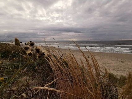 Marram Grass in the foreground on a stormy beach with cloudy sky, autumn on the Baltic Sea near
