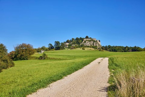 Hohentwiel mountain, Hohentwiel fortress ruins, cinder stone footpath, nature reserve, meadow,
