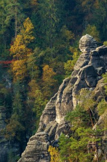 Autumn in the Elbe Sandstone Mountains in the Saxon Switzerland National Park, Lohmen, Saxony,
