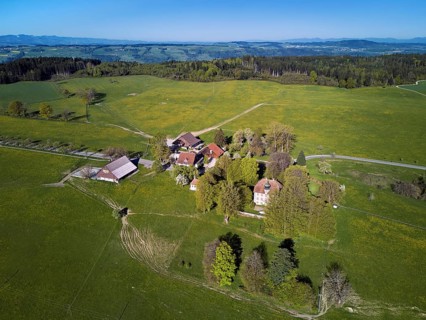 Horben viewpoint with castle and restaurant, Beinwil, Freiamt, Canton of Aargau, Switzerland