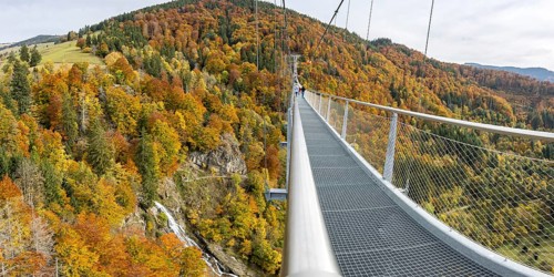 Blackforestline suspension bridge at Todtnau Waterfall in the Black Forest in autumn panorama in