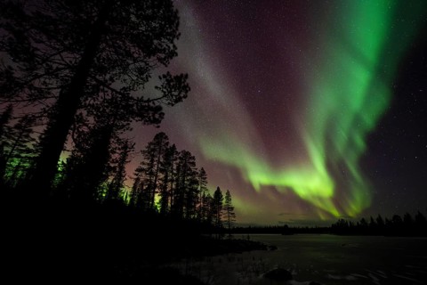 Northern Lights (Aurora borealis) over a frozen lake, Norrbotten, Lapland, Sweden, October 2022
