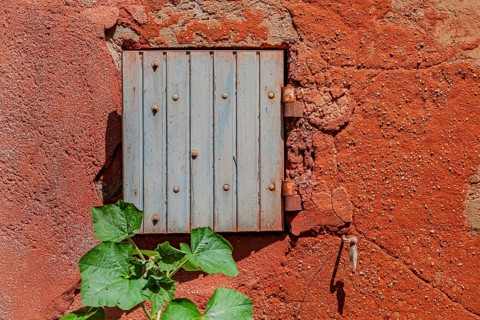 Red wall with small wooden shutters and green plant that gives a rustic charm, Roussillon,
