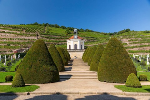 Belvedere im vineyard, palace gardens Wackerbarth, Radebeul, Saxony, Germany