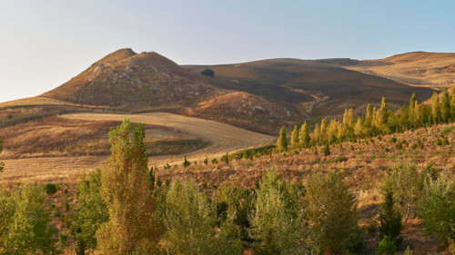 Barren hilly landscape, trees, brown hilltop, Madonie National Park, autumn, late summer, Sicily,