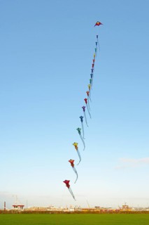 Many colourful wind birds in the blue sky, Drachenwiese, Norddeich, North Sea, Lower Saxony,