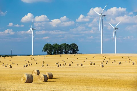 Straw bales on a harvested grain field, stubble field, wind turbines in the background, Nossen,