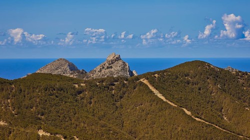 Hilly mountain landscape with wooded areas under a blue sky, Northern West Coast, Karpathos,