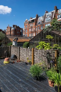 Victorian townhouses on Royal Hospital Road, woven fence and historic greenhouses, Chelsea Physic