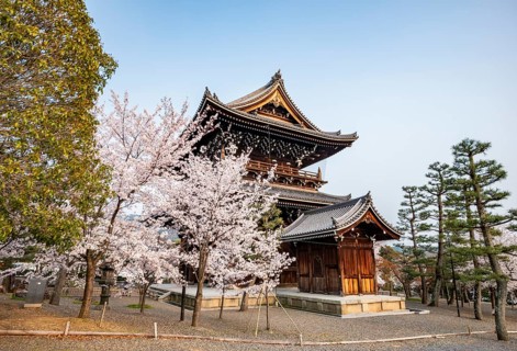 Sanmon Gate and blooming cherry trees, Konkai-Komyoji Temple, Buddhist Temple, Kyoto, Japan