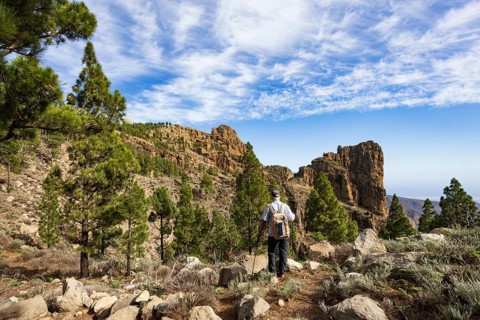 Hiker in the pine forest with view to the summit of Pico de las Nieves, Gran Canaria, Canary