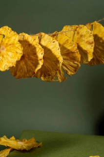 A close-up shot of beautifully dried pineapple slices arranged in a row against a muted green