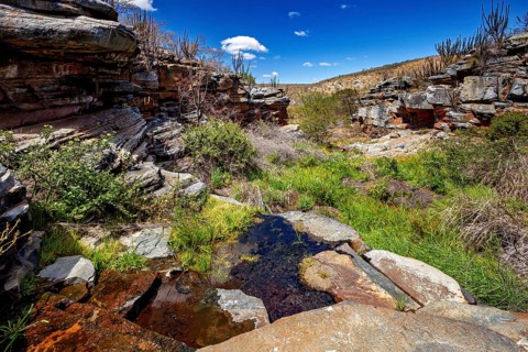 Rocks and vegetation around a small stream under a blue sky, the thornshrub savanna in the Caatinga