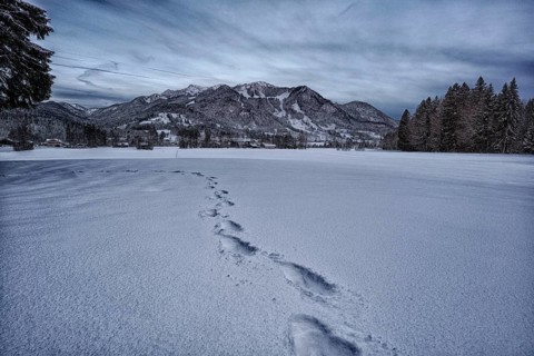 Snow, fresh snow, mountain, Bavarian Alps, snow tracks, tomorrow, hiking, snowshoes, cold,