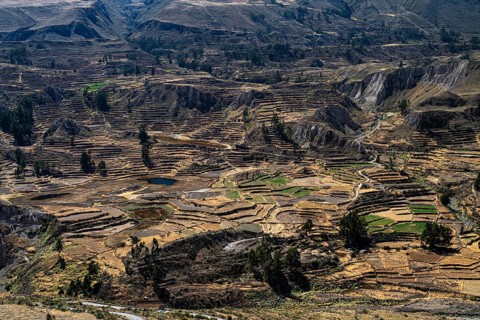 Mountain landscape with terraced fields in Colcacanon, Canon del Colca, Andes, Southern Peru, Peru,