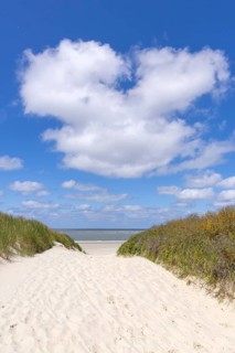 Beach access, sand, dunes, North Sea, Langeoog, East Frisia, Lower Saxony, Germany