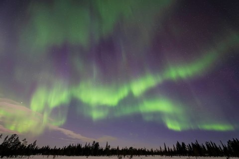 Northern Lights (Aurora borealis), Muddus National Park, Laponia World Heritage Site, Norrbotten,