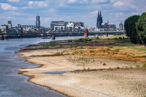 Low water in the Rhine near Cologne, view from the right bank of the Rhine over the Boller Wiesen,