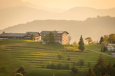 Farmhouses on a hill surrounded by meadows and illuminated by warm evening light, Oberstaufen