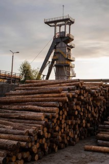 A large pile of timber logs stacked in the foreground with a mine headframe tower rising into the
