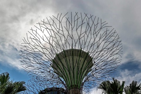 Giant Solar-Powering environmentally sustainable with photovoltaic cells, man-made Supertrees at