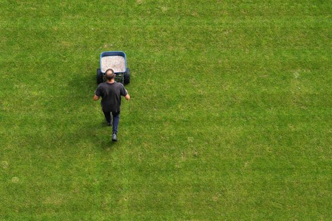 Groundsman spreads artificial fertilizer for grass on a football pitch in Lubin, Poland