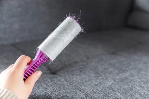 A hand using a lint roller on a gray fabric surface. The roller removes pet hair and lint. A green