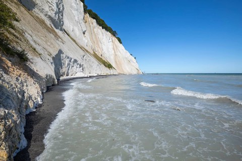Low angle view of the white chalk cliffs and green beech trees (Fagus sylvatica) during high tide