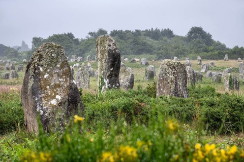 Prehistoric menhirs from the Neolithic period, hinkel stones, alignements of Carnac, archaeological