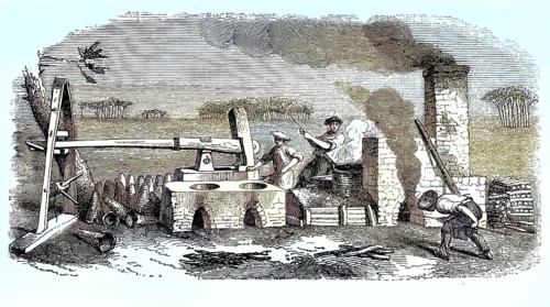 Historic workshop in southwestern France, Landes department, for processing pine resin, gemmage.