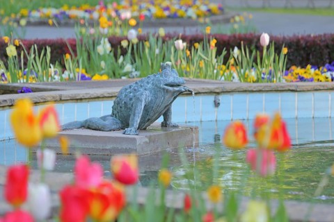 Frog Princess sculpture by Ewald Rumpf 2012, fountain with water basin, modern art, bronze