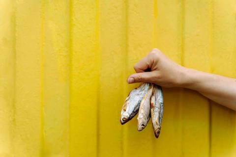 Hand Holding Dried Fish Against a Bright Yellow Background, A hand holding three dried fish against