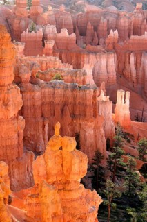 Geography, Bryce Canyon NP, Utah, USA, National Park, Erosion, Sandstone, Bryce Canyon NP, UTAH,