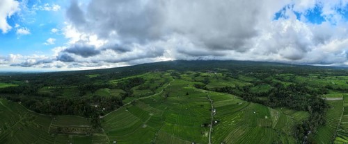 Aerial view panorama of Tegallalang rice terraces, Bali, Indonesia