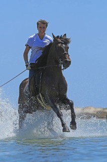 Riding holiday, Djerba, Tunisia, swimming with horses, riding, sea