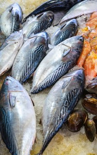 Red Sea Fish, Fish Market in Hurghada, Egypt
