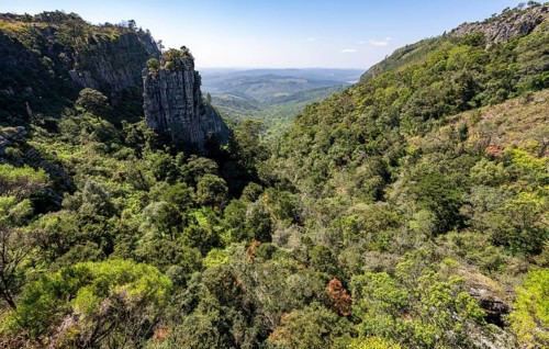 Rock needle in a densely forested canyon, Pinnacle Rock, view over canyon landscape, near Graskop,