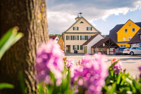 A cozy village square with colorful flowers in the foreground and traditional houses in the