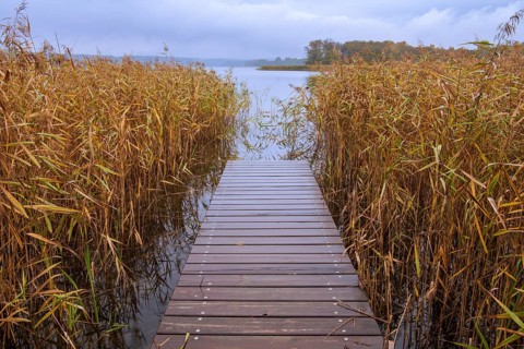 Pier on the lake, Breiter Luzin in autumn, Feldberg Lake District, Mecklenburg-Western Pomerania,