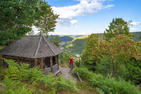 Wooden cabin on the edge of a forest with a view of a valley on a sunny day, Bad Wildbad, Black