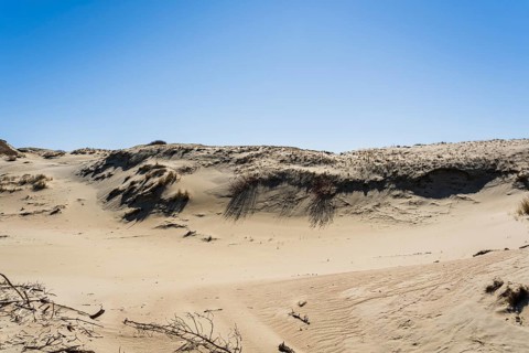 The Gray Dunes, or the Dead Dunes is sandy hills with a bit of green specks at the Lithuanian side
